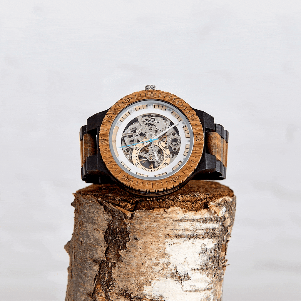 Sustainable Watch Company