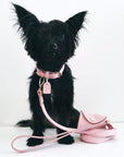 Leather Collar