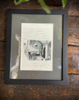 Framed Antique Anatomy Print 1920s Medical Book Plate Wall Art Picture C