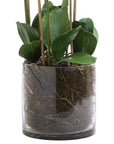 White and violet artificial orchid in glass pot, hyper-realistic plastic flowers with flexible leaves for home decor by Sostter at brixbailey.com