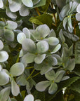 Lush Green Hydrangea Potted Plant