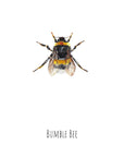 Bumble Bee Watercolour Fine Art Print