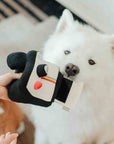 Instant Camera dog enrichment toy