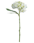 Lifelike white lace cap hydrangea stem with clustered florets, UV-resistant plastic, 48cm height, perfect for year-round arrangements by sostter at brixbailey.com