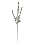 Refreshing Gunnii Blue Eucalyptus Mist | Energizing Aroma