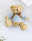 Luxury personalised teddy