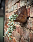 Vintage Rusty Metal Wall Mounted Planter / Herb Planter / Plant Pot / Key Holder