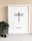 Dragonfly Watercolour Fine Art Print