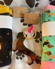 Dachshund Letterbox Gift