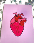 Pink and red anatomical heart hand drawn art print in A5 or A4