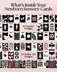 0+ Month Newborn Sensory Cards