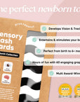 0+ Month Newborn Sensory Cards
