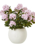 Lush Pink Hydrangea Plant in Pot
