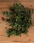 Vibrant Red-Tipped Leaf Spray | Stunning Foliage Accent
