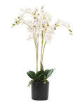 Artificial Orchid Flower 60cm White Orchid Arrangement-0
