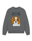 Oversized & Overruled: Eco-Luxe Sweatshirt with Cavalier Queen Energy
