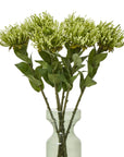 Lush Green Protea Stem | Exotic Floral Elegance