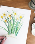 Daffodils - March Birth Flower - Watercolour Fine Art Print