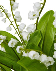White Faux Lily of the Valley Flower Bouquet