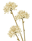 Cream Faux Allium Flower Stem