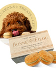 Dog Macarons (Box of 3)