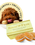 Dog Macarons (Box of 3)