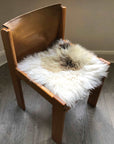 Premium British sheepskin seat cover, 37cm square, lights cream with brown rare breed mix, 100% natural, hypoallergenic, luxury home decor by Wildash London at brixbailey.com