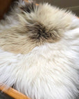 Luxury British sheepskin seat cover, lights cream with brown rare breed mix, 37cm x 37cm, premium natural hide, hypoallergenic, sustainable by Wildash London at brixbailey.com