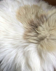 Luxury British sheepskin seat cover, 37cm square, lights cream and brown rare breed, premium natural sheepskin, hypoallergenic, sustainable by Wildash London at brixbailey.com