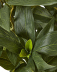 White Peony Bush in Pot with Lifelike Blooms