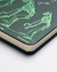Evolution & Genetics A5 Hardcover