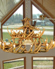 30 Antler Whitetail Chandelier