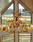 30 Antler Whitetail Chandelier