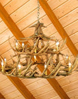 30 Antler Whitetail Chandelier
