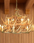 24 Antler Whitetail Chandelier