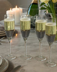 Apollo Silver and Clear Set of 4 Champagne Glasses 210ml