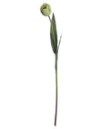 Artificial green tulip stems, ultra-realistic plastic flowers, 50cm tall, perfect for spring floral arrangements by sostter at brixbailey.com