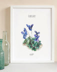 Violet - February Birth Flower - Watercolour Fine Art Print