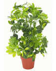 Artificial plant with premium metal planter Botanik Botanik-1