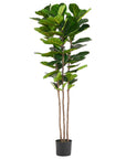 180cm Premium Artificial Fiddle Leaf Fig Tree-0