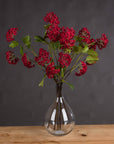 Vibrant Red Viburnum | Stunning Autumn Blooms