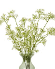 Luxurious Cream Gypsophila Spray | Elegant Floral Decor
