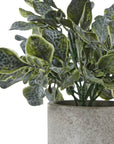 Faux Eucalyptus in Grey Planter