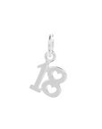 18th Birthday Silver Charm