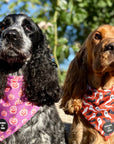 Orange Bats + Ghosts Halloween Dog Bandana 👻