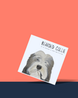 Hairy Wishes & Tailspins: Bearded Collie Greeting Card