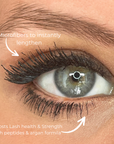 Argan Growth Serum Mascara 6ml | Achieve Longer, Fuller, and Voluminous Eyelashes