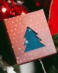 Star Christmas Sock Box - 1 Pair of Bamboo Socks (His)