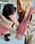 Burgundy Merino Lambswool Dog Jumper