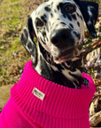 Extra Large British Wool Dog Jumper
